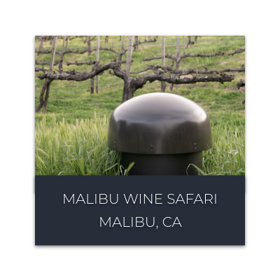 Malibu Wine Safari Case Study